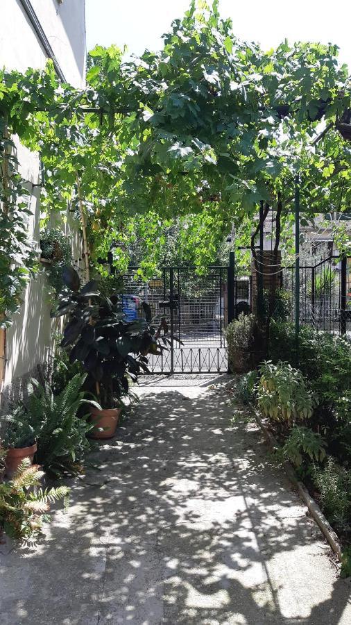 Casa Sofia - Appartamento Con Parcheggio Riservato Terni Extérieur photo
